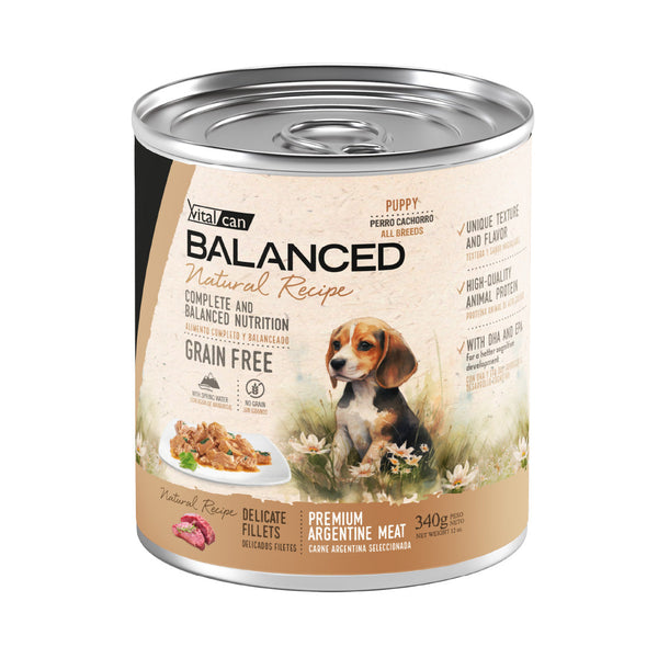 Lata Balanced Perro Cachorro Filetes Carne