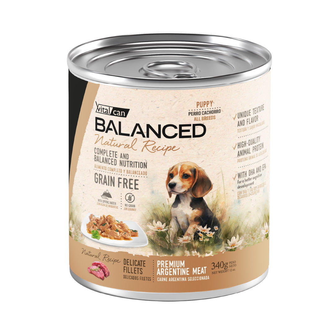 Lata Balanced Perro Cachorro Filetes Carne