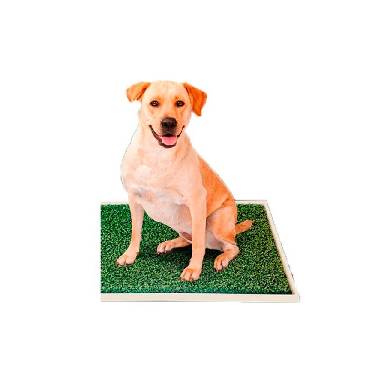 Alfombra Sanitaria Pañopet Carpet