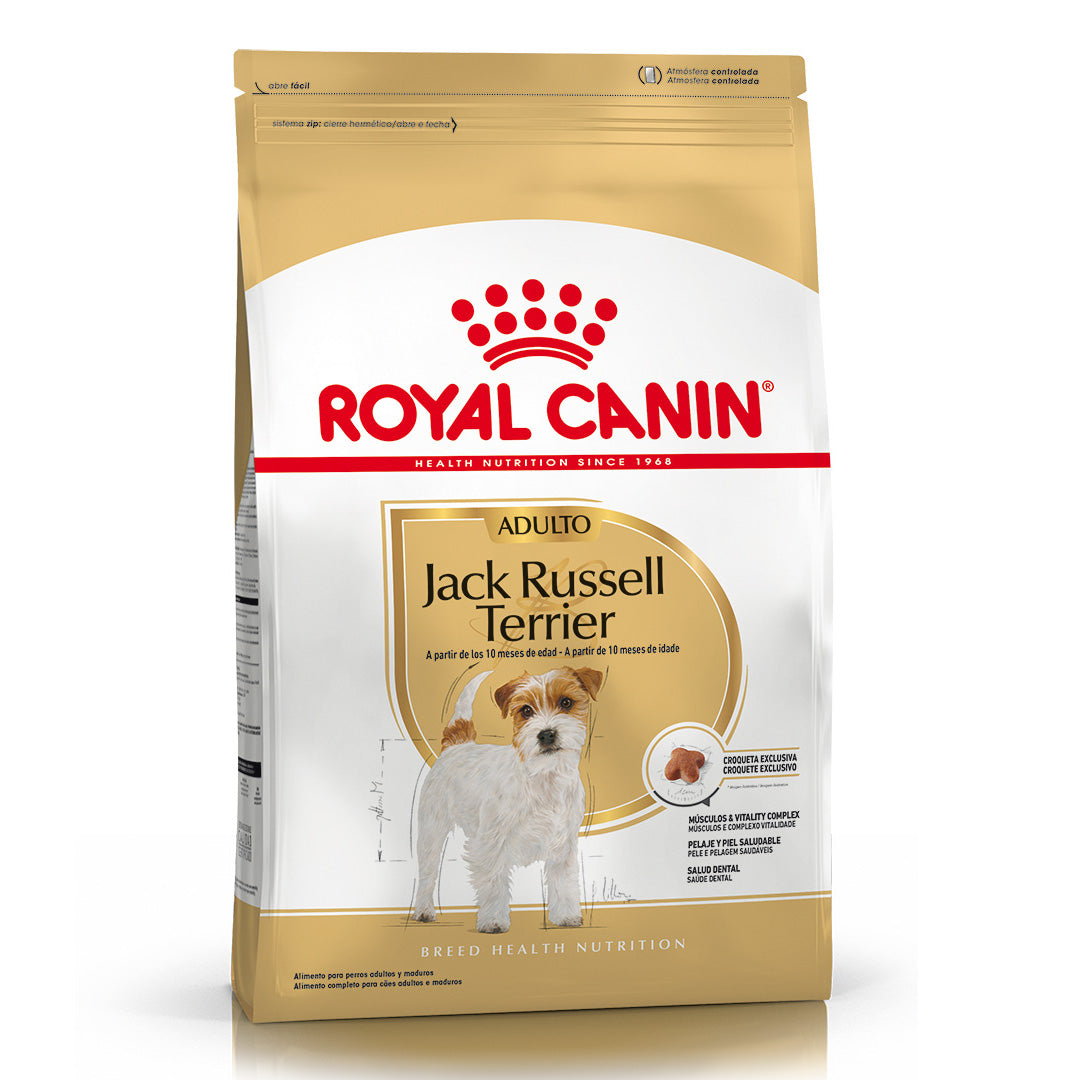 Alimento Royal Canin Perro Jack Russell Adulto