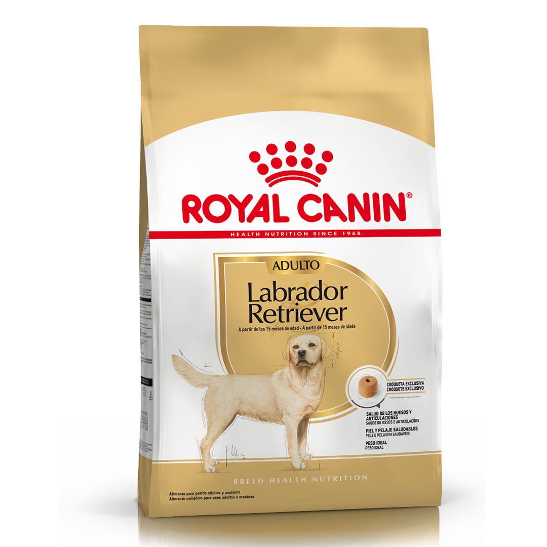 Alimento Royal Canin Perro Labrador Adulto
