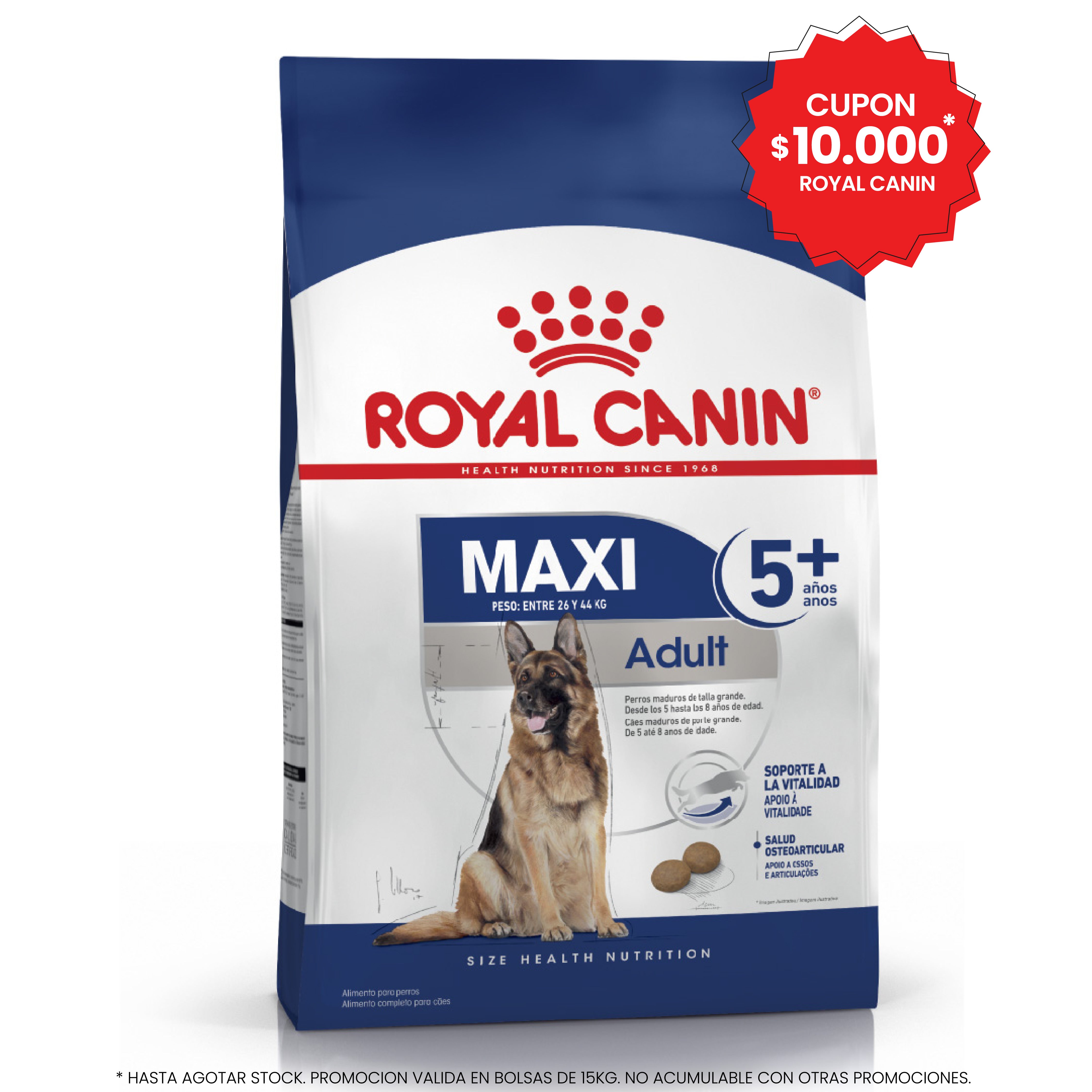 Alimento Royal Canin Perro Maxi Adult edad 5+