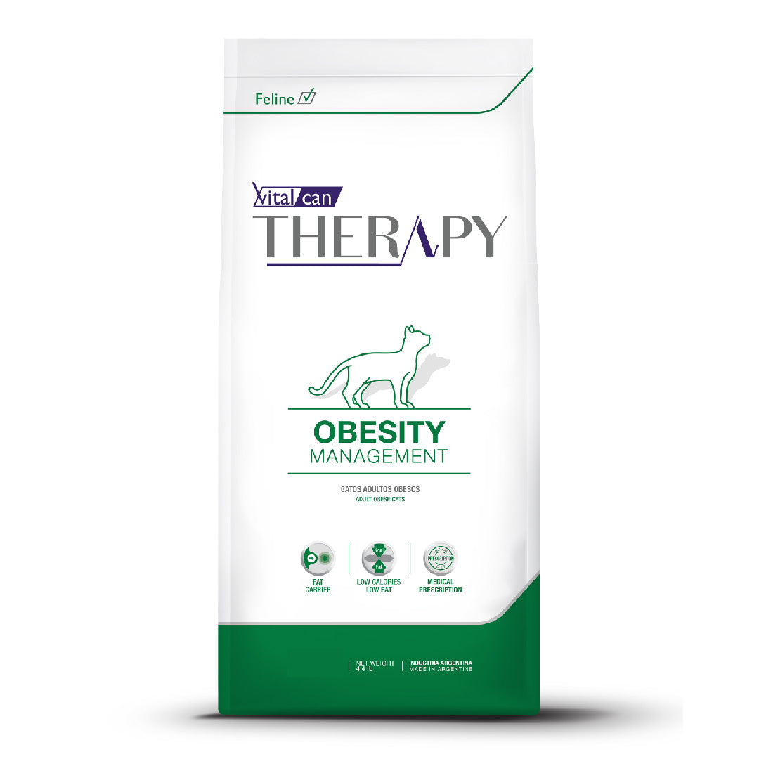 Alimento Therapy Gato Obesity